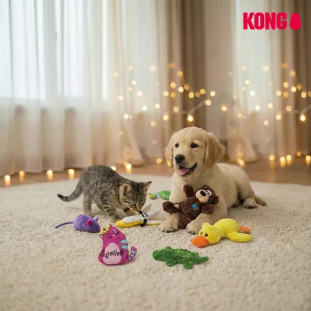 【KONG】耐咬狗玩具拉扯款－毛絨繩結小雞 S/M(狗狗玩具 拉扯玩具 耐咬 小雞造型)