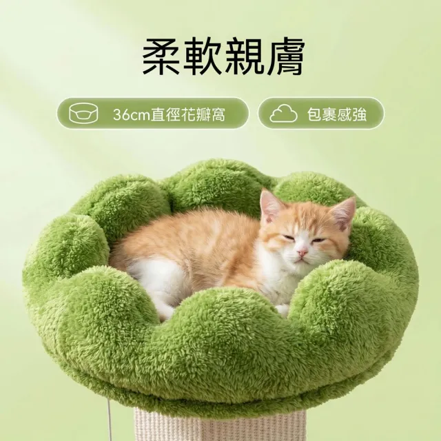 【MOOG 沐格】羅馬柱貓爬架 劍麻貓抓柱花瓣貓窩一體 家用小型貓咪跳台玩具