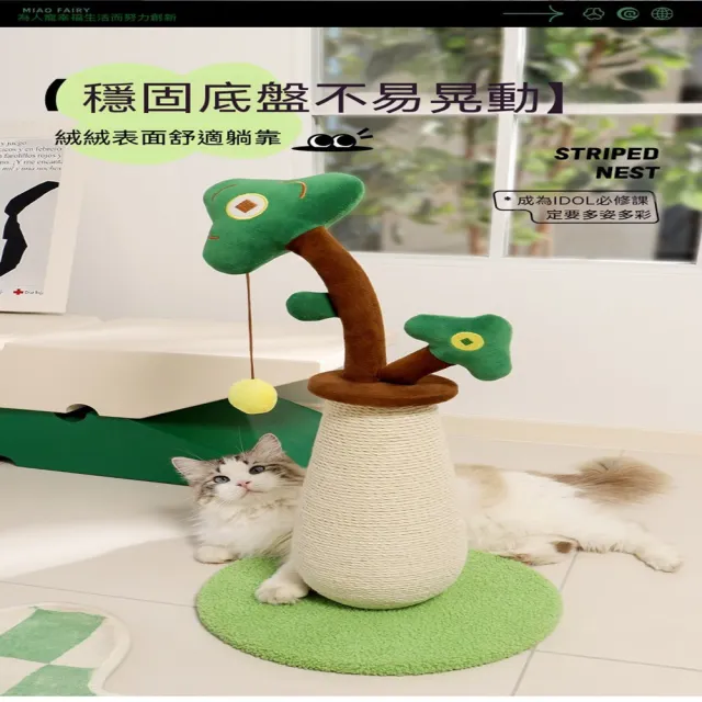 【MOOG 沐格】發財樹劍麻貓抓柱 立式貓爬架 附吊球逗貓玩具家用貓咪磨爪器