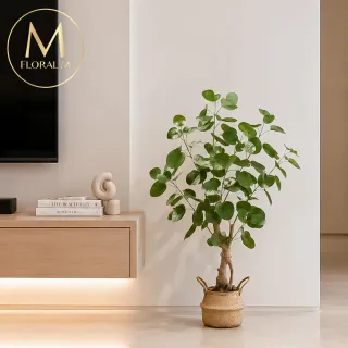 【Floral M】金幣滿堂招財樹100cm仿真植栽(贈編織籃)(人造植栽/仿真樹/室內佈置/居家裝飾/桌上型植栽)