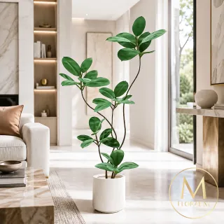 【Floral M】吉祥如意大葉榕180cm大型仿真植栽(贈花盆)(仿真樹/免澆水/室內佈置/居家裝飾/招財擺設)