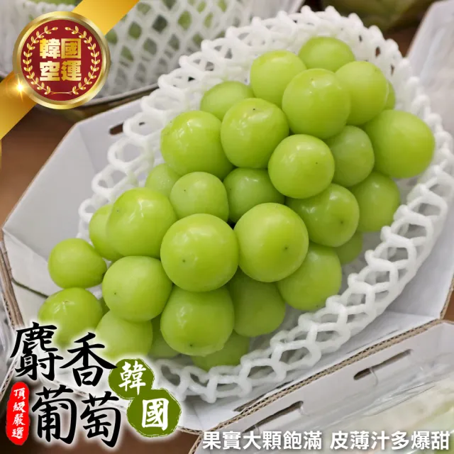 【WANG 蔬果】韓國無籽麝香綠葡萄_大串500-600gx1盒(單串PE硬盒 空運直送)