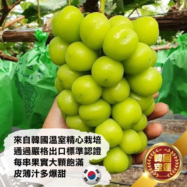 【WANG 蔬果】韓國無籽麝香綠葡萄_大串500-600gx4盒(單串PE硬盒 空運直送)