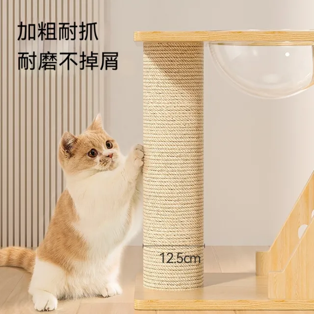 【科凌】小型貓爬架 貓抓柱 貓窩貓抓板一體 休閒傢俱