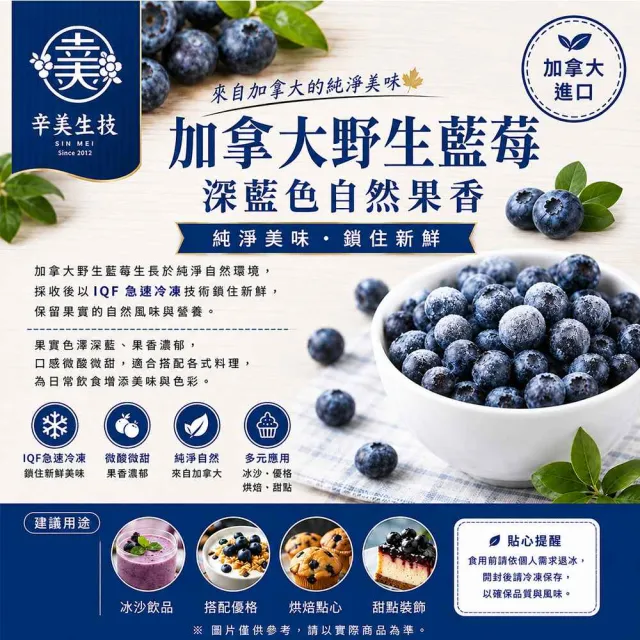 【幸美生技】冷凍野生藍莓2包組1kgx2包 加拿大進口 (送驗 農殘/重金屬 檢驗通過)