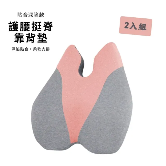 【Beroso 倍麗森】買一送一美姿護脊靠背墊-兩入組(強力支撐 椅靠背墊 靠枕 腰靠墊 護腰墊 禮物)