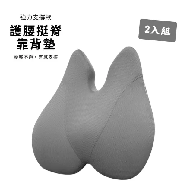 【Beroso 倍麗森】買一送一美姿護脊靠背墊-兩入組(強力支撐 椅靠背墊 靠枕 腰靠墊 護腰墊 禮物)