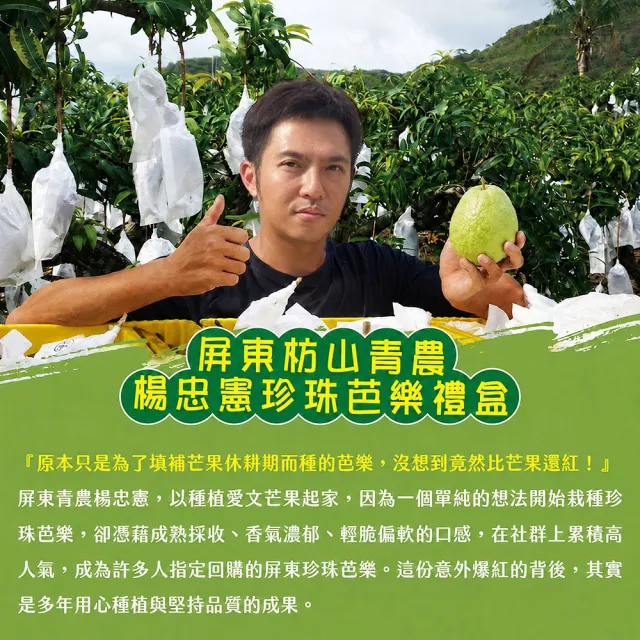 【初品果】各大媒體專訪 青農楊忠憲 牛奶珍珠芭樂禮盒8斤x2箱(大小粒數不限 冷藏宅配 屏東產地直送)