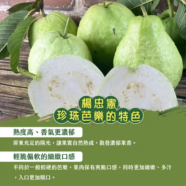 【初品果】各大媒體專訪 青農楊忠憲 牛奶珍珠芭樂禮盒8斤x1箱(大小粒數不限 冷藏宅配 屏東產地直送)