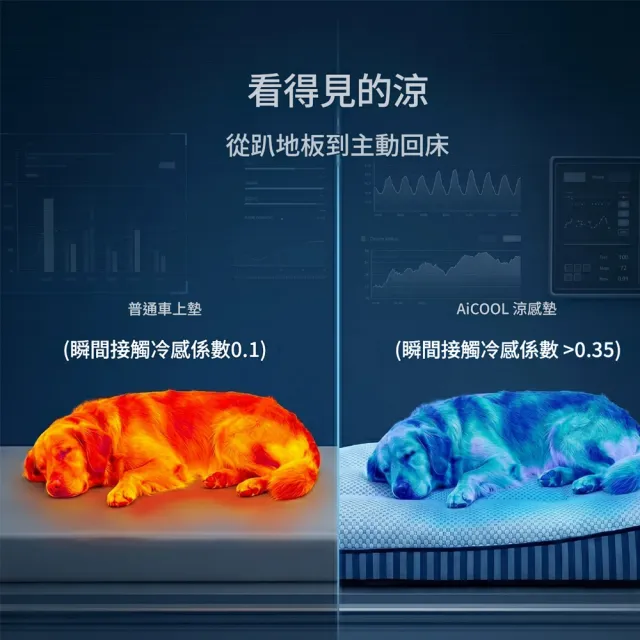【IPSKY】透氣涼感寵物車載坐墊 人寵共用 汽車貓狗墊 附靠枕支撐背部  防髒耐抓好清洗 35公斤適用