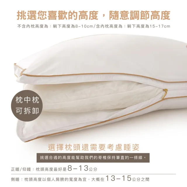【ISHUR 伊舒爾】水鑽超柔立體羽絲枕2入(贈天絲枕套2入/羽絨枕/羽毛枕/枕頭)