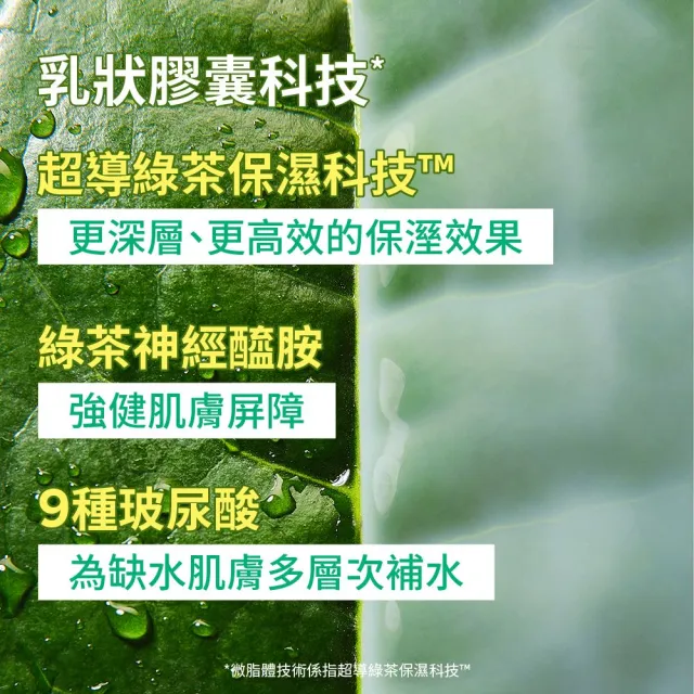 【innisfree】綠茶神經醯胺牛奶水面膜 (23ml/片)