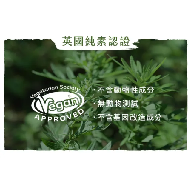 【阿原】玫瑰天竺葵洗手慕斯x1+岩蘭草抗菌洗手慕斯x1(植癒力.艾草.月桃.修護滋養.柔軟角質.溫暖放鬆)