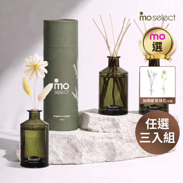 【mo select】植萃精油天然柳枝擴香禮盒3入超值組(mo選/香氛/居家香氛/精油擴香/精美禮物)