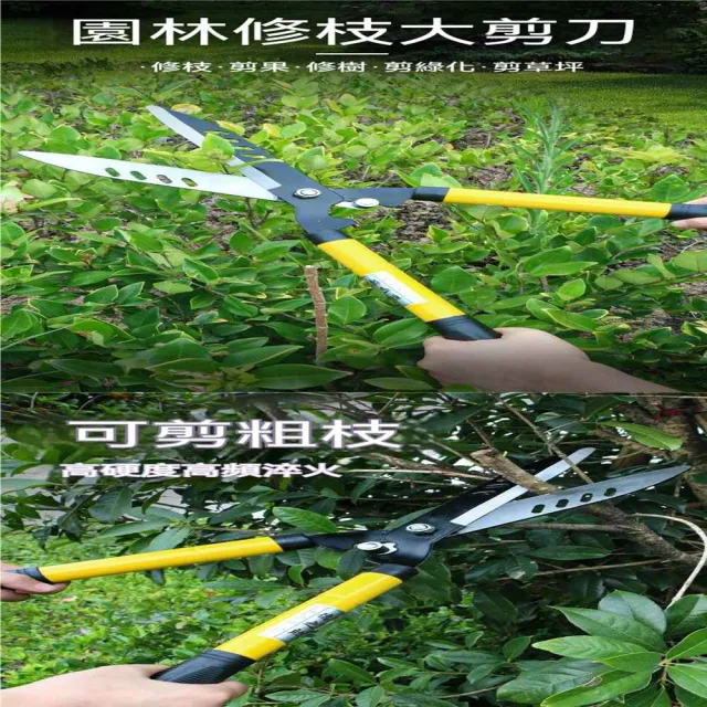 【MOOG 沐格】園林修枝剪 綠化修剪剪刀 茶樹花木修剪工具 苗圃園藝剪
