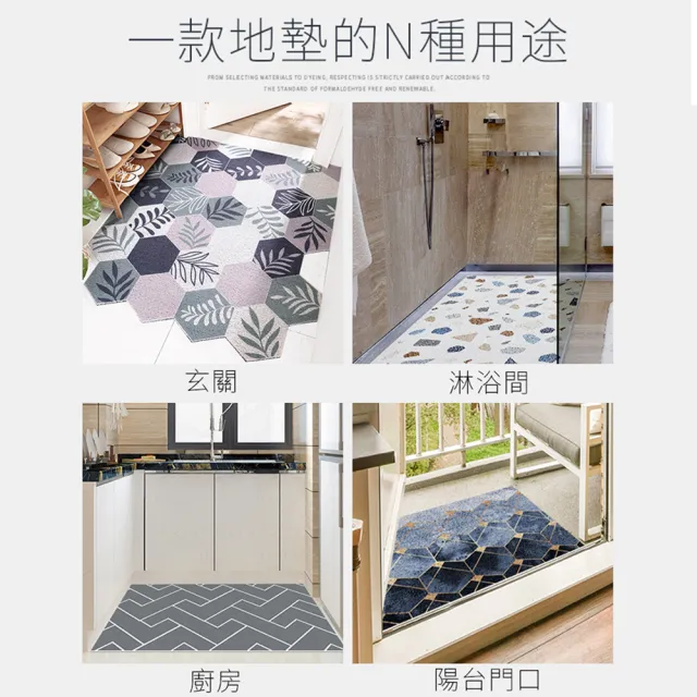 【半島良品】刮泥地墊絲圈地墊刮泥墊 多款任選(玄關/迎賓/門口地墊/刮泥/防滑貓砂墊)