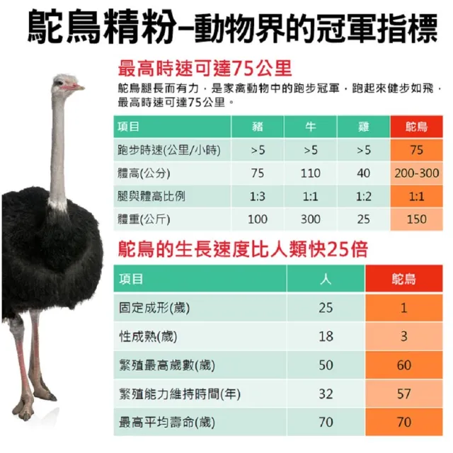 【草本之家】龜鹿鴕鳥精膠囊1入組30粒/入(MSM.二型膠原蛋白.鹿角.龜板.維生素)