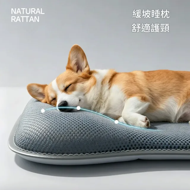 【IPSKY】寵物風扇窩 自動感應風扇床  離席自停三檔風控低噪 貓咪涼墊 狗狗冷氣床 製冷睡墊 17公斤以內