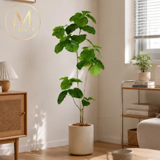 【Floral M】居家人氣心葉榕160cm大型仿真植栽（贈花盆）(仿真樹/免澆水/室內佈置/居家裝飾/招財擺設)