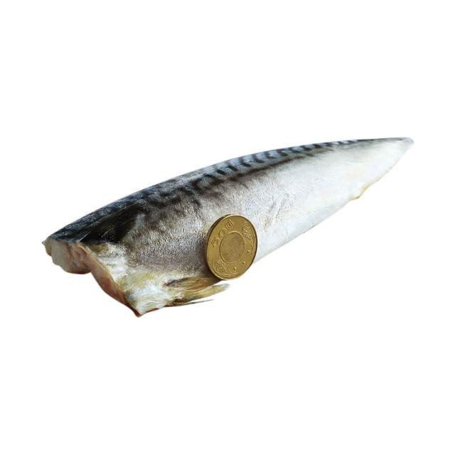 【優鮮配】3L挪威薄鹽鯖魚 210g X10片｜特大規格 /單片真空 /囤貨量販組