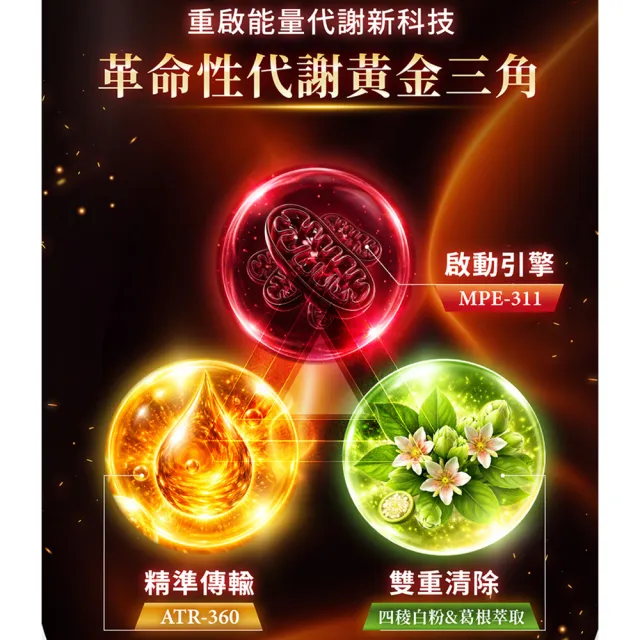 【AmaBios 亞馬生醫】MPE-311激孅粒現5盒(30粒/盒 獨家粒線體代謝科技)