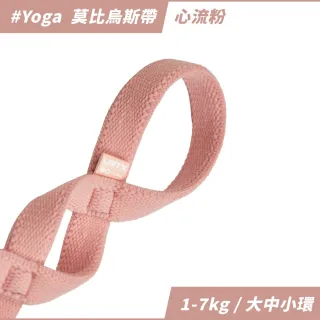 【VRTX】莫比烏斯帶（1-7kg）- 心流粉 (Infinity#YOGA)