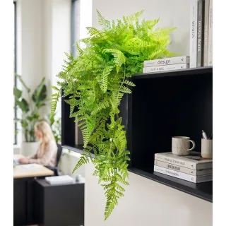 【HUGO DECO 榆果傢飾】翠綠蕨草藤蔓植栽(擬真植栽/垂墜植栽/藤蔓/居家佈置/節慶送禮)