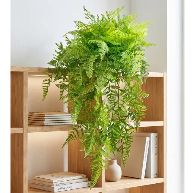 【HUGO DECO 榆果傢飾】翠綠蕨草藤蔓植栽(擬真植栽/垂墜植栽/藤蔓/居家佈置/節慶送禮)