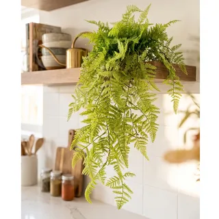 【HUGO DECO 榆果傢飾】淺綠蕨草藤蔓植栽(擬真植栽/垂墜植栽/藤蔓/居家佈置/節慶送禮)
