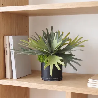 【HUGO DECO 榆果傢飾】高擬真鹿角蕨盆栽(擬真植物/禮物/綠化/永不凋零/佈置/蕨類)