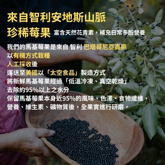 【ANR奧格蕾雅】純粋有機馬基莓粉•3包組(純智利酒果凍乾粉)