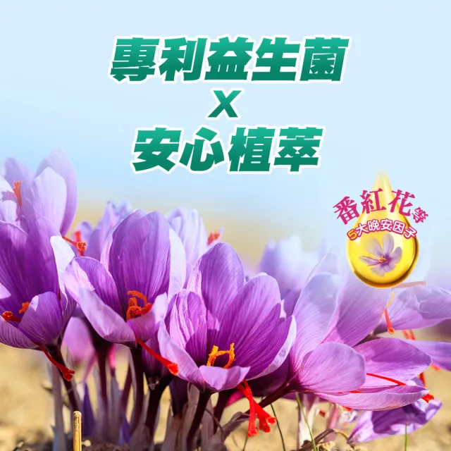 【CENTRUM 善存】舒眠益生菌膠囊 3盒組(60粒/盒-5大晚安因子 專利番紅花萃取 芝麻素 GABA 色胺酸)