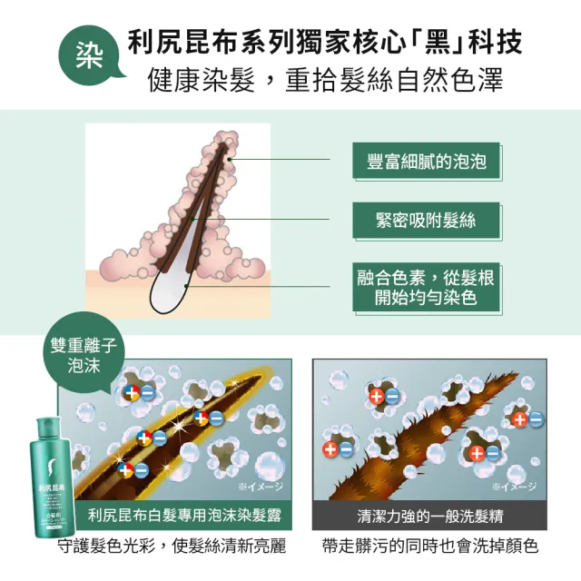 【Sastty】利尻昆布白髮用泡沫染髮露200mlx2入(3色任選/植萃成分/上色均勻不留白)