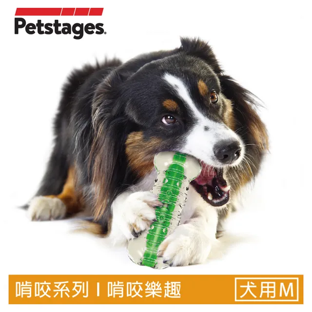 【Petstages】綠咖咖果凍骨 狗玩具 M（12到22公斤中型犬適用） 潔牙 耐咬寵物玩具