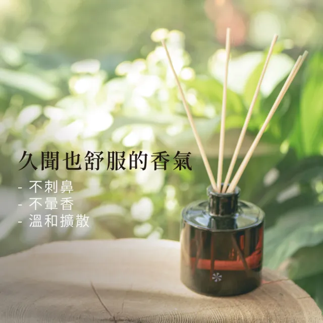 【VANA】瑞典純淨擴香瓶200ML – 冬泳之甦｜清新海洋調｜無酒精安心使用｜潔淨空間香氛｜瑞典直送