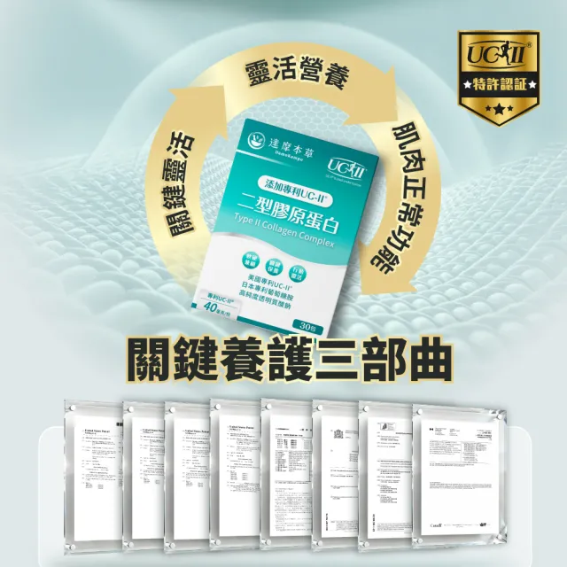【達摩本草】專利UC-II二型膠原蛋白複方粉包 _薑黃升級版x1盒 (30包/盒)