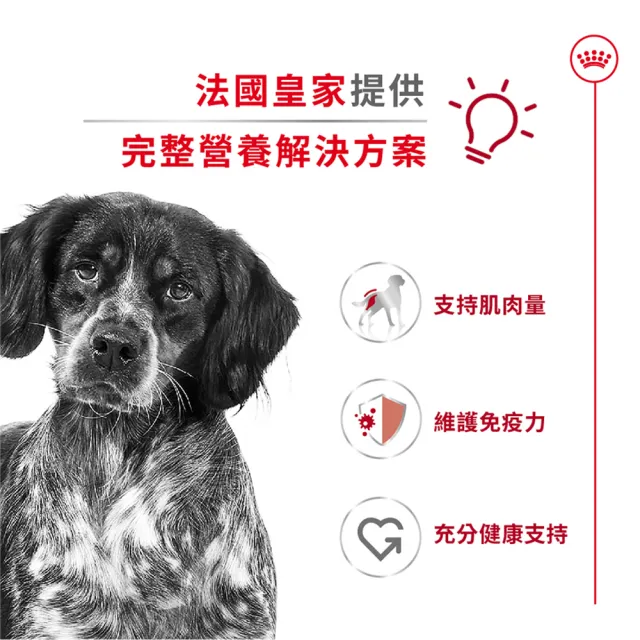 【ROYAL 法國皇家】中型成犬專用飼料 MA 10KG(狗乾糧 狗飼料)