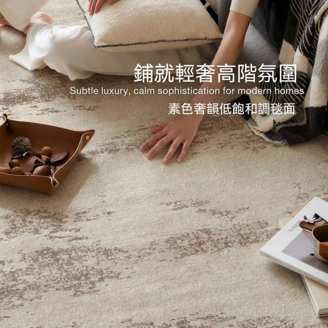 HANACO 地毯-200x250cm 客廳輕奢高級耐髒地墊 家用沙發茶几床邊地墊 意式極簡 輕奢耐髒