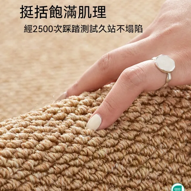 新川 素雅輕奢仿劍麻地墊60*90cm（入戶門地墊 玄關地毯 進門腳墊 防滑可裁剪）
