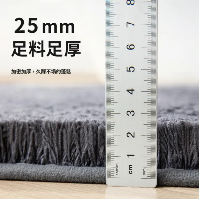 【Quality 聚家】洗手間地墊 吸水墊 衛生間廁所浴室防滑墊子 臥室地毯門墊 50*80cm（加厚2.5cm/加密植絨）