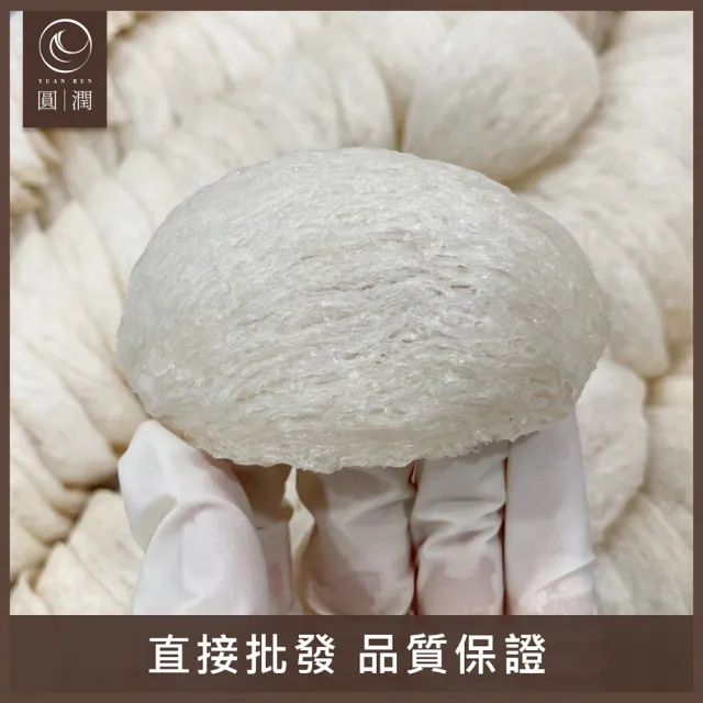 【圓潤燕窩】特潤一等大燕盞經典禮盒200g(燕窩、燕盞、乾燕窩、燕窩禮盒、燕窩酸、中秋禮盒、伴手禮、長輩)