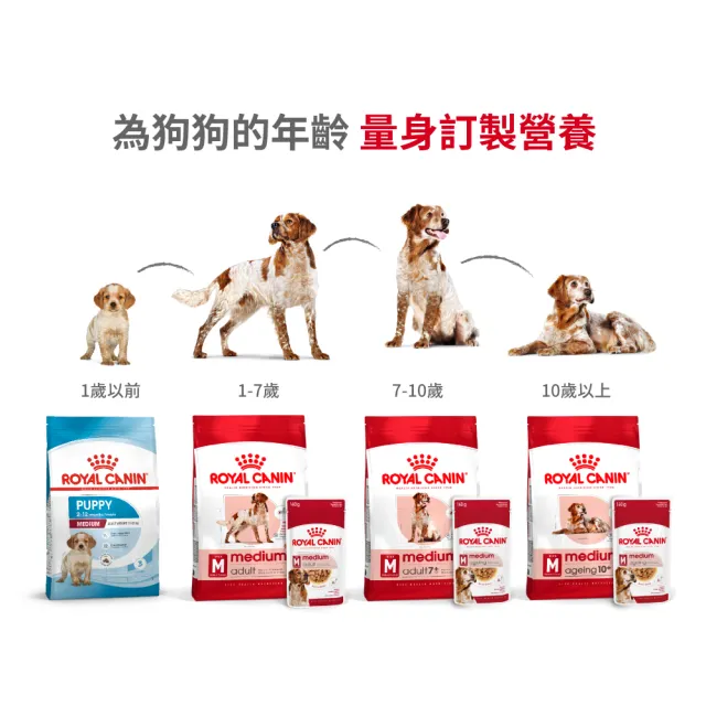 【ROYAL 法國皇家】中型老犬10+歲 M+10 3KG(狗乾糧 狗飼料)