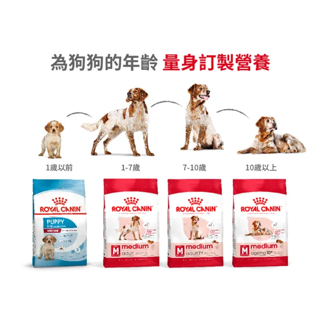 【ROYAL 法國皇家】中型熟齡犬7+專用飼料 M+7 4KG(狗乾糧 狗飼料)