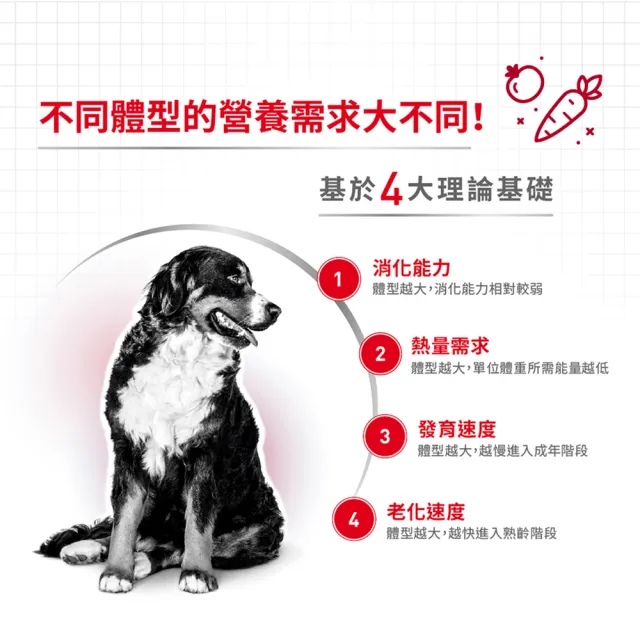 【ROYAL 法國皇家】中型熟齡犬7+專用飼料 M+7 15KG(狗乾糧 狗飼料)