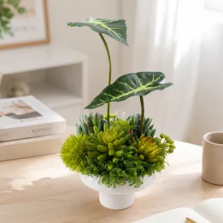 【HUGO DECO 榆果傢飾】觀音蓮葉多肉香氛植栽(擬真植物/人造盆栽/綠化/佈置)