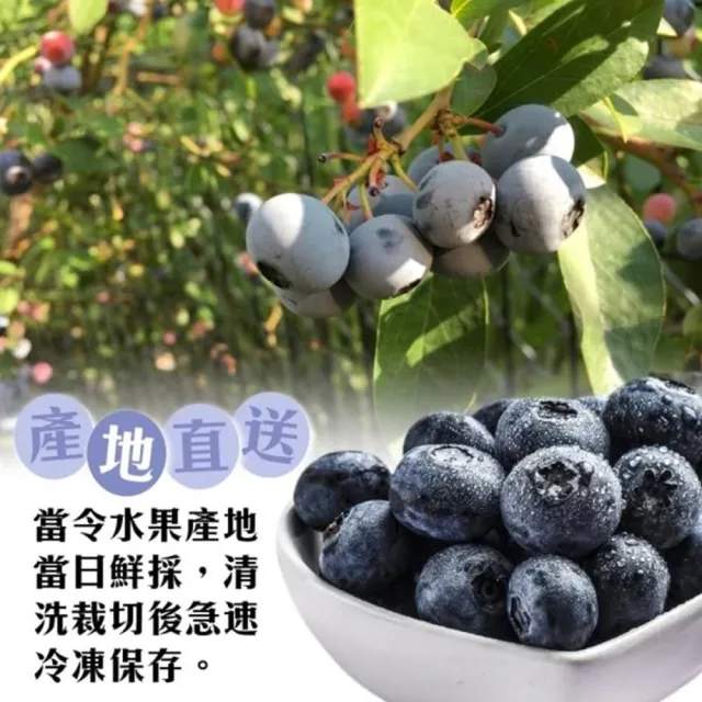 【WANG 蔬果】冷凍栽種藍莓1kgx1包(1kg/包_家庭號)