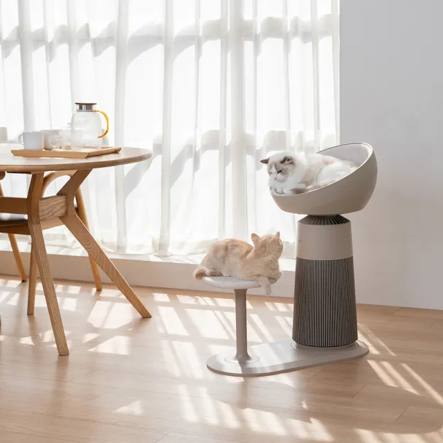 【LG 樂金】喵太座AeroCatTower寵物空氣清淨機(智慧加熱貓窩/寵物秤/AS251CBZ0)