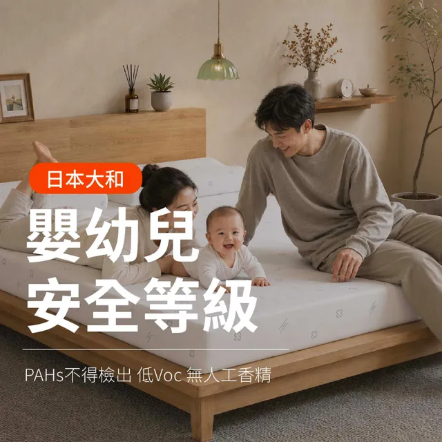 【森好眠】雙人5cm大和抗菌乳膠床墊5x6.2尺經典款(薄床墊可摺疊折疊Sonmil森好眠)