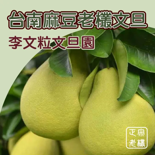 【黑貓嚴選】《李文粒果園》麻豆文旦6kg(7-9入/箱 60年老欉 產地直送 中秋 柚子 禮盒)