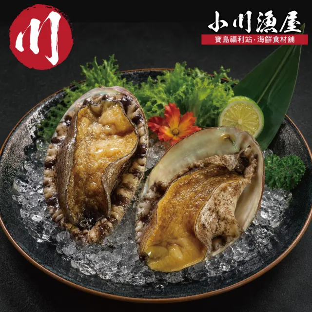 【小川漁屋】南非活凍帶殼鮑魚1包(500g±10%/包/約6-8粒)